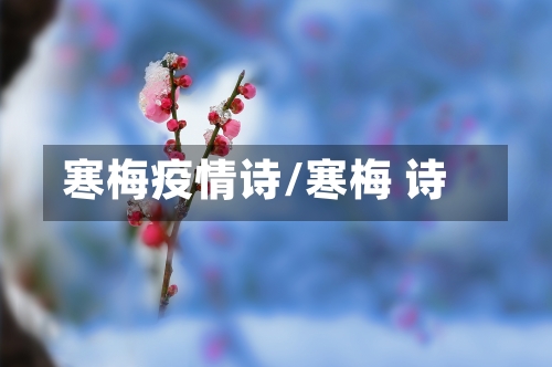 寒梅疫情诗/寒梅 诗-第2张图片