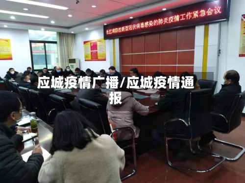 应城疫情广播/应城疫情通报-第3张图片