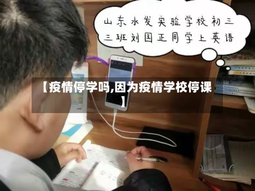 【疫情停学吗,因为疫情学校停课】-第1张图片