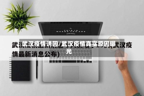 武汉疫情诱因/武汉疫情真实原因曝光-第2张图片