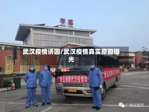 武汉疫情诱因/武汉疫情真实原因曝光-第1张图片