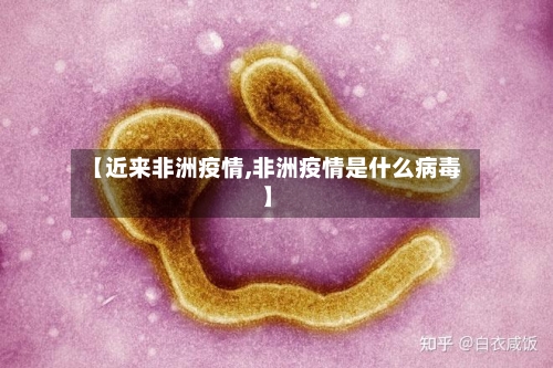 【近来非洲疫情,非洲疫情是什么病毒】-第2张图片