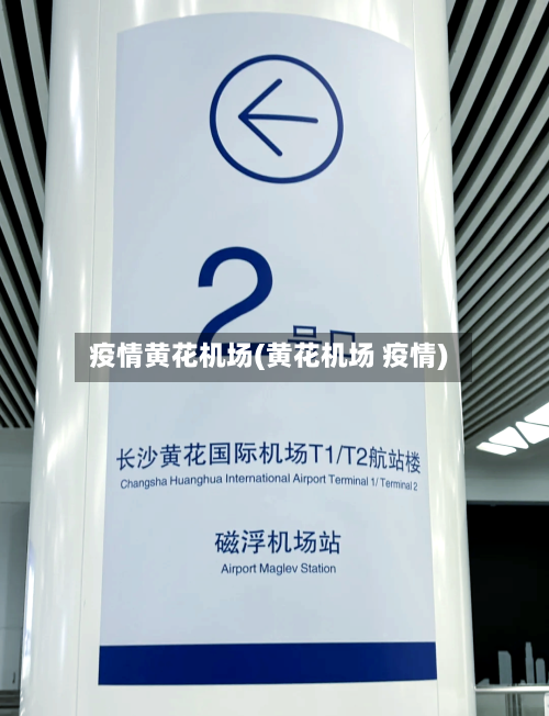 疫情黄花机场(黄花机场 疫情)-第2张图片