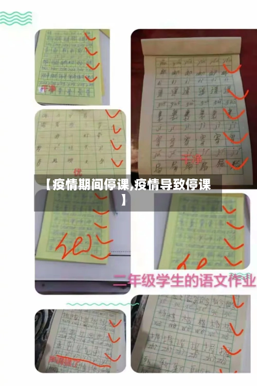 【疫情期间停课,疫情导致停课】-第2张图片