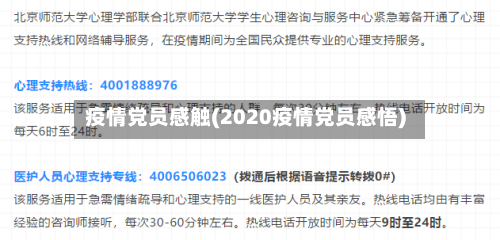疫情党员感触(2020疫情党员感悟)-第2张图片