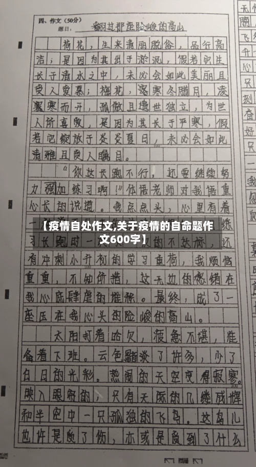 【疫情自处作文,关于疫情的自命题作文600字】-第3张图片