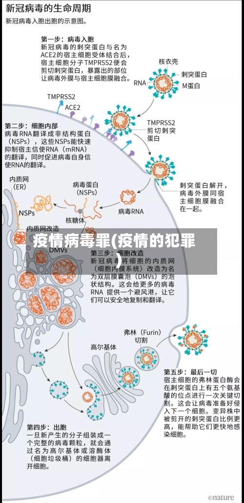 疫情病毒罪(疫情的犯罪)-第1张图片