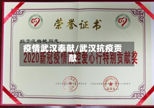 疫情武汉奉献/武汉抗疫贡献-第2张图片