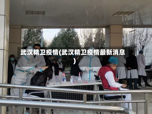 武汉精卫疫情(武汉精卫疫情最新消息)-第2张图片