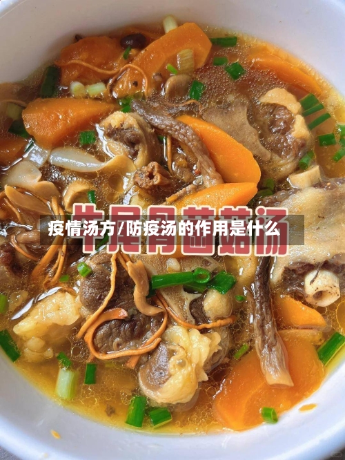 疫情汤方/防疫汤的作用是什么-第3张图片