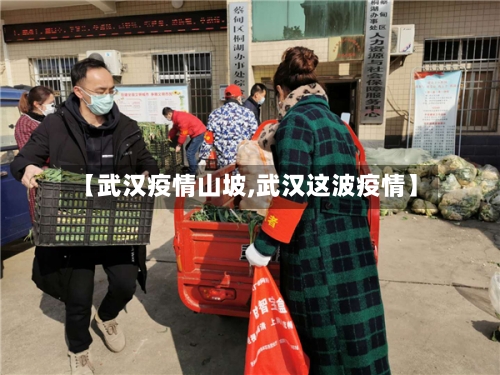 【武汉疫情山坡,武汉这波疫情】-第3张图片