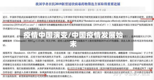 疫情中国演变/中国疫情发展始末-第2张图片