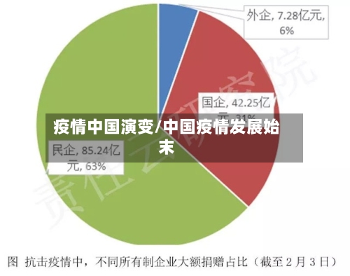 疫情中国演变/中国疫情发展始末-第3张图片