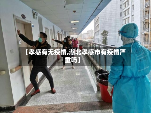 【孝感有无疫情,湖北孝感市有疫情严重吗】-第3张图片