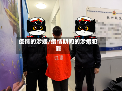 疫情的涉嫌/疫情期间的涉疫犯罪-第3张图片