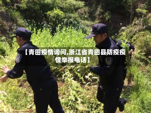 【青田疫情询问,浙江省青田县防疫疫情举报电话】-第2张图片