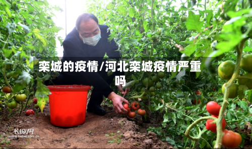 栾城的疫情/河北栾城疫情严重吗-第1张图片