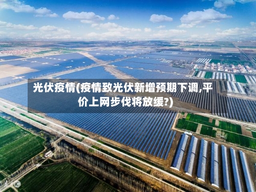 光伏疫情(疫情致光伏新增预期下调,平价上网步伐将放缓?)-第2张图片