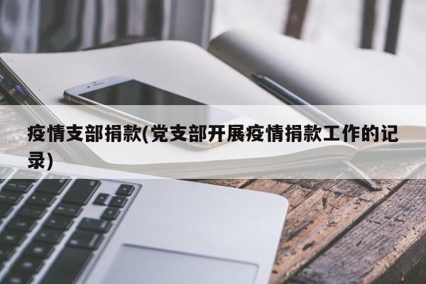 疫情支部捐款(党支部开展疫情捐款工作的记录)
