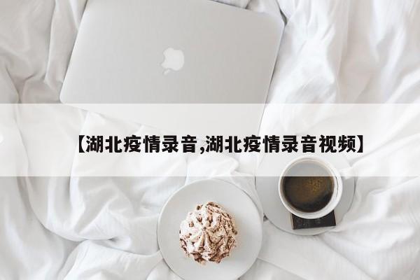 【湖北疫情录音,湖北疫情录音视频】